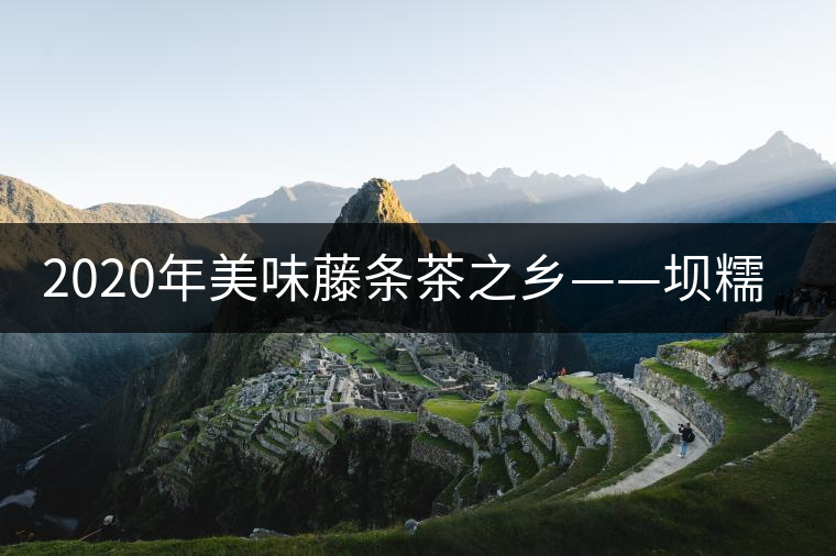 2020年美味藤條茶之鄉(xiāng)——壩糯-易武中聘號