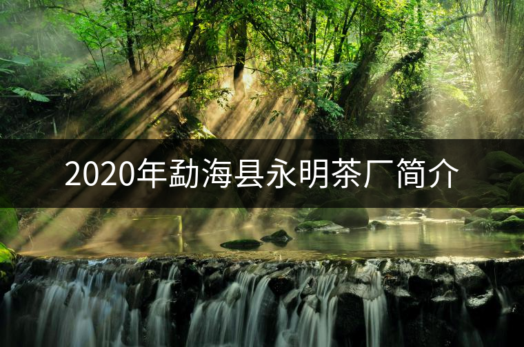 2020年勐海縣永明茶廠簡介 2020年勐??h永明茶廠簡介