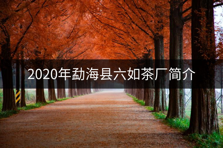 2020年勐??h六如茶廠簡介 2020年勐海縣六如茶廠簡介