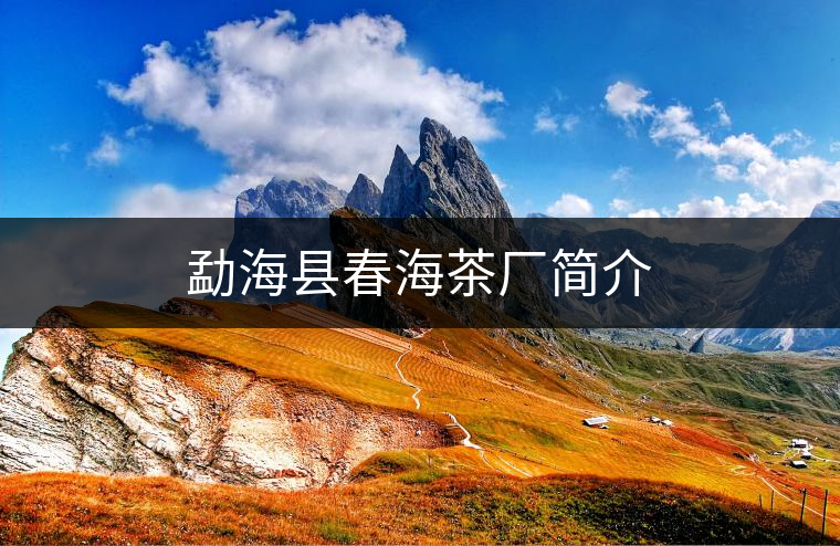 勐海縣春海茶廠簡(jiǎn)介 勐??h春海茶廠簡(jiǎn)介