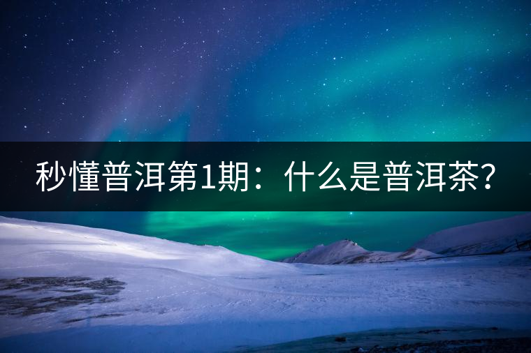 秒懂普洱第1期：什么是普洱茶？