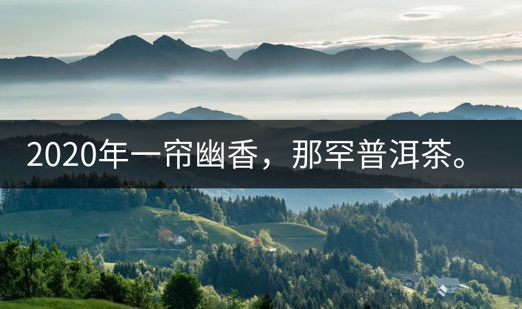 2020年一簾幽香，那罕普洱茶。-易武中聘號