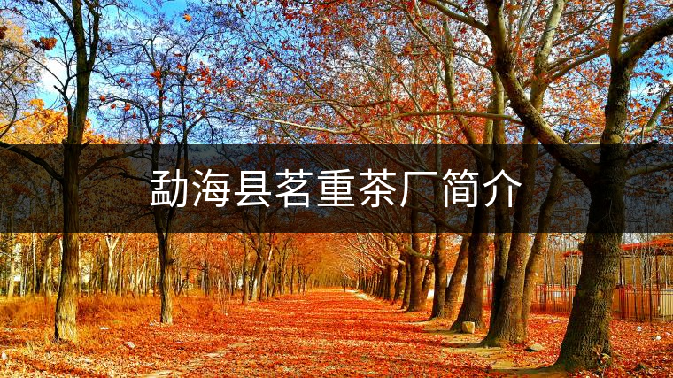 勐?？h茗重茶廠簡介