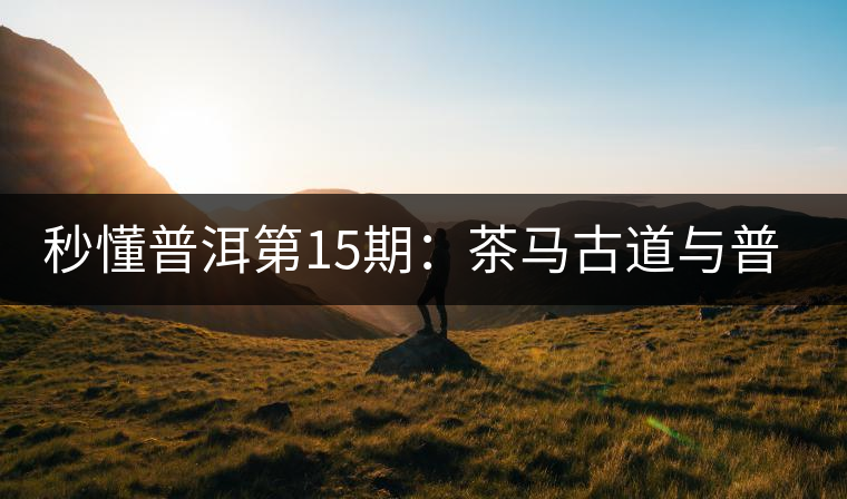 秒懂普洱第15期：茶馬古道與普洱茶有什么聯(lián)系？