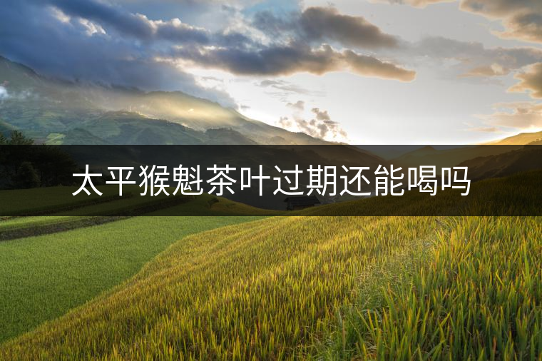 太平猴魁茶葉過(guò)期還能喝嗎 太平猴魁茶葉過(guò)期還能喝嗎