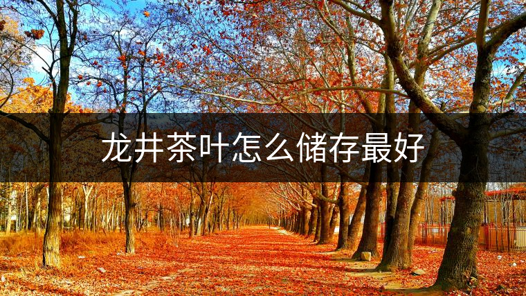 龍井茶葉怎么儲(chǔ)存最好
