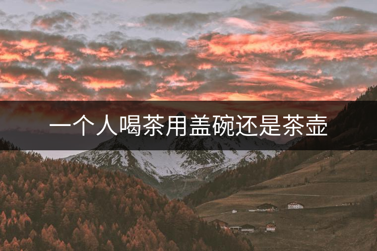 一個人喝茶用蓋碗還是茶壺 一個人喝茶用蓋碗還是茶壺