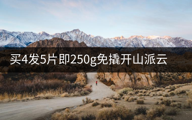 買4發(fā)5片即250g免撬開山派云南純料老熟普茶葉黑茶 普洱茶熟茶磚