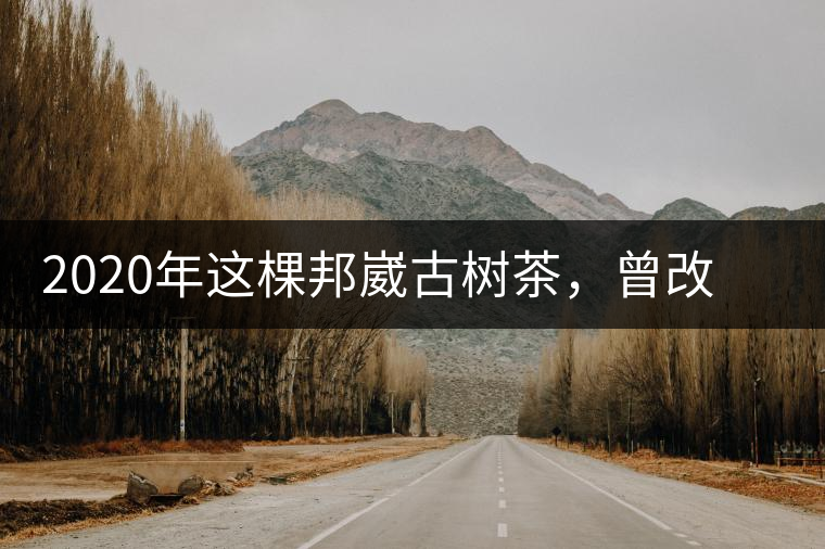 2020年這棵邦崴古樹(shù)茶，曾改寫(xiě)普洱茶歷史！-易武中聘號(hào)