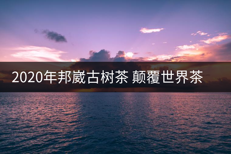 2020年邦崴古樹(shù)茶 顛覆世界茶葉原產(chǎn)地的發(fā)現(xiàn)-易武中聘號(hào) 2020年邦崴古樹(shù)茶 顛覆世界茶葉原產(chǎn)地的發(fā)現(xiàn)-易武中聘號(hào)