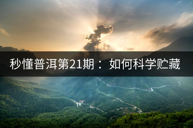 秒懂普洱第21期 ：如何科學貯藏普洱茶？