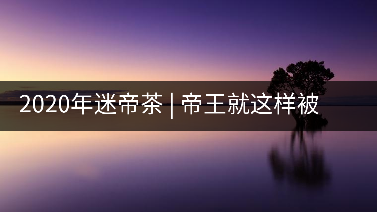 2020年迷帝茶 | 帝王就這樣被迷住了？-易武中聘號