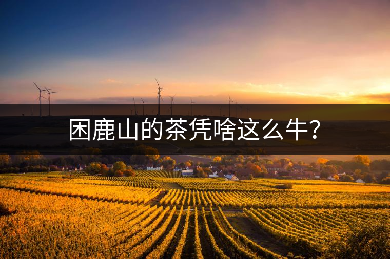 困鹿山的茶憑啥這么牛？