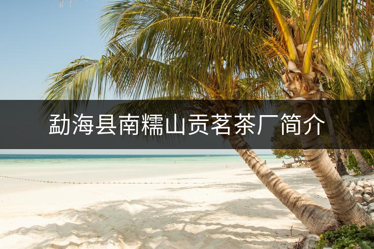 勐?？h南糯山貢茗茶廠簡(jiǎn)介