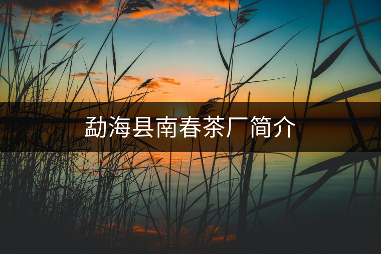 勐?？h南春茶廠簡(jiǎn)介