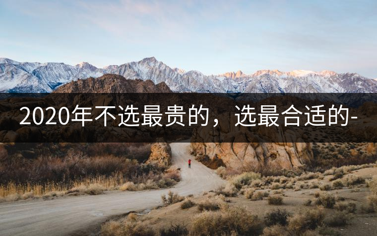 2020年不選最貴的，選最合適的-無(wú)量山古樹茶 |-易武中聘號(hào)