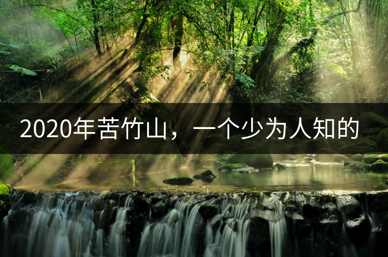 2020年苦竹山，一個少為人知的后起之秀！-易武中聘號