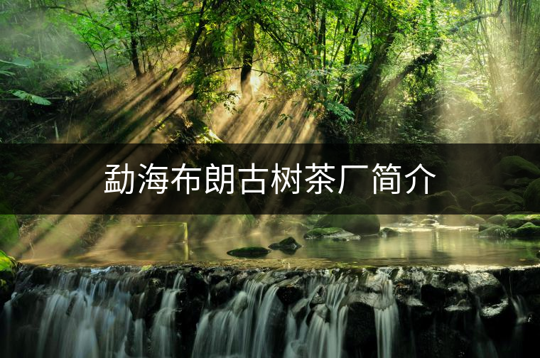 勐海布朗古樹茶廠簡(jiǎn)介 勐海布朗古樹茶廠簡(jiǎn)介