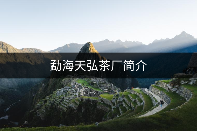 勐海天弘茶廠簡介 勐海天弘茶廠簡介