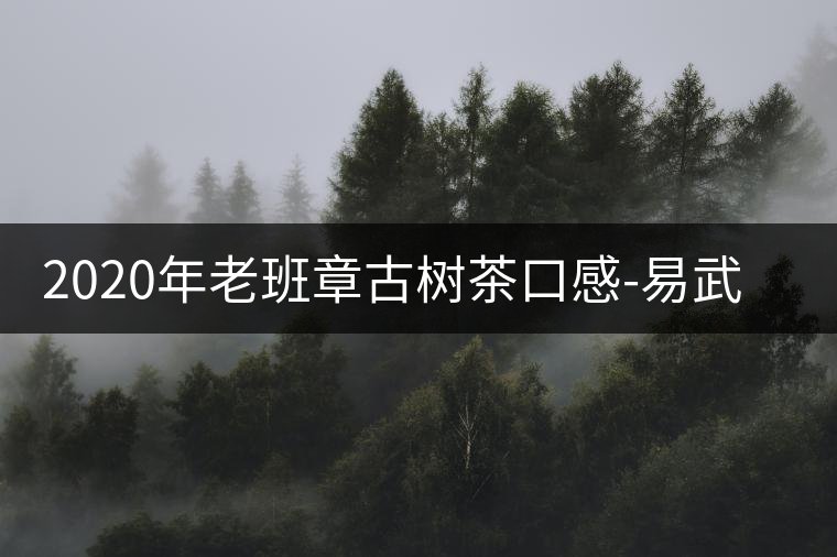 2020年老班章古樹茶口感-易武中聘號(hào) 2020年老班章古樹茶口感-易武中聘號(hào)