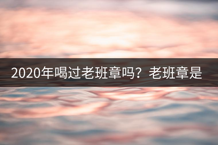 2020年喝過老班章嗎？老班章是什么味道？-易武中聘號
