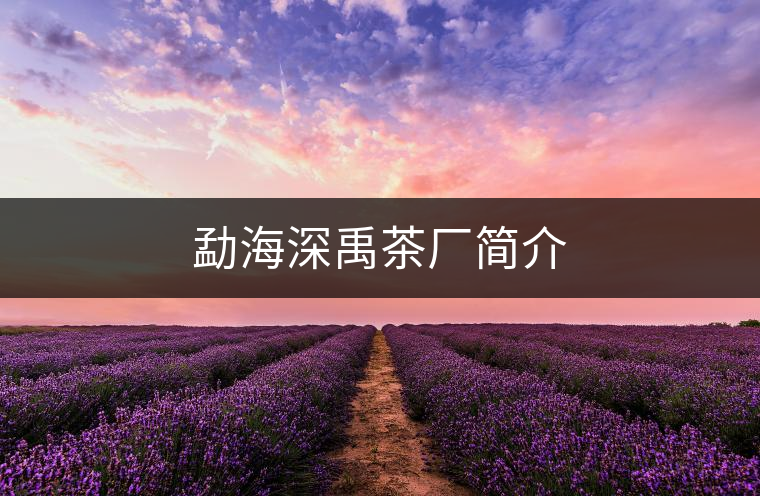 勐海深禹茶廠簡(jiǎn)介