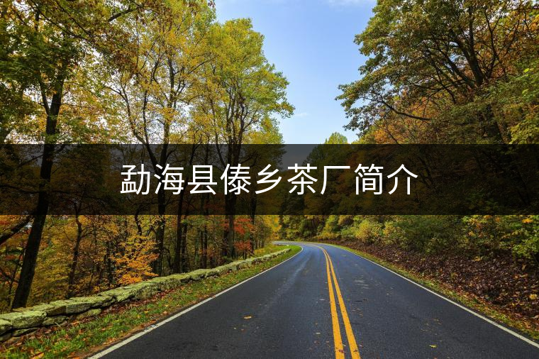 勐??h傣鄉(xiāng)茶廠簡介 勐??h傣鄉(xiāng)茶廠簡介