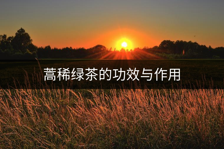蒿稀綠茶的功效與作用 蒿稀綠茶的功效與作用