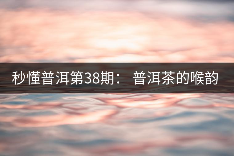 秒懂普洱第38期： 普洱茶的喉韻是什么？