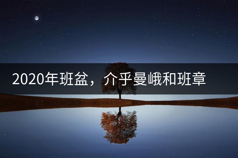 2020年班盆，介乎曼峨和班章間的“老漢子”-易武中聘號