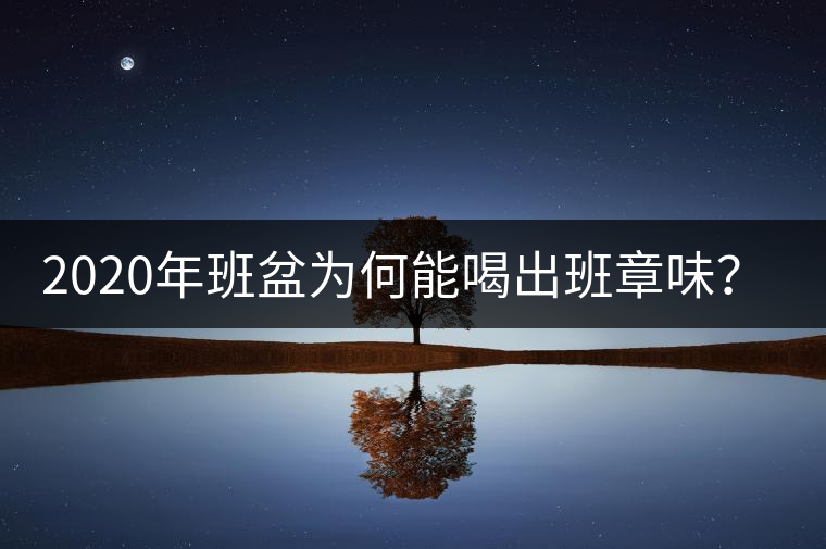 2020年班盆為何能喝出班章味？-易武中聘號