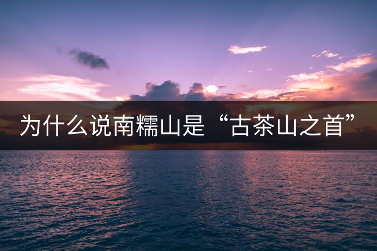 為什么說(shuō)南糯山是“古茶山之首”？