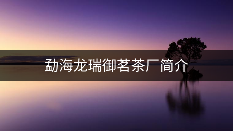 勐海龍瑞御茗茶廠簡介 勐海龍瑞御茗茶廠簡介