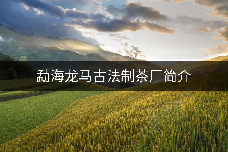 勐海龍馬古法制茶廠簡(jiǎn)介 勐海龍馬古法制茶廠簡(jiǎn)介