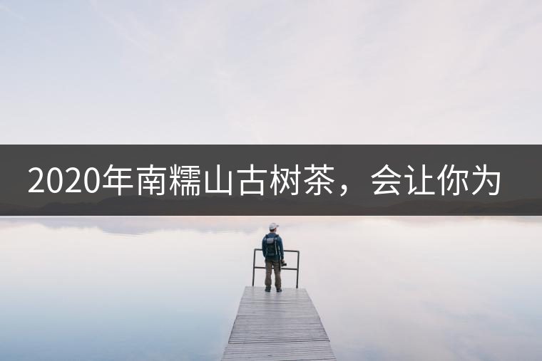 2020年南糯山古樹(shù)茶,會(huì)讓你為之著迷-易武中聘號(hào) 2020年南糯山古樹(shù)茶,會(huì)讓你為之著迷-易武中聘號(hào)