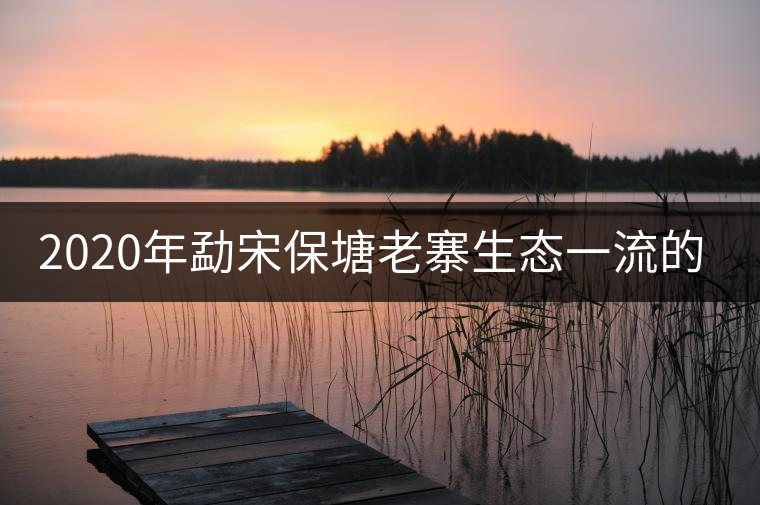 2020年勐宋保塘老寨生態(tài)一流的古樹茶-易武中聘號 2020年勐宋保塘老寨生態(tài)一流的古樹茶-易武中聘號