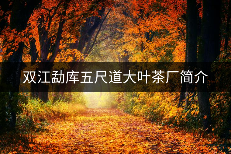 雙江勐庫五尺道大葉茶廠簡介