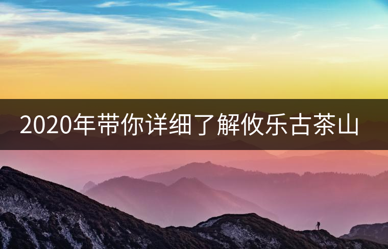 2020年帶你詳細了解攸樂古茶山-易武中聘號 2020年帶你詳細了解攸樂古茶山-易武中聘號