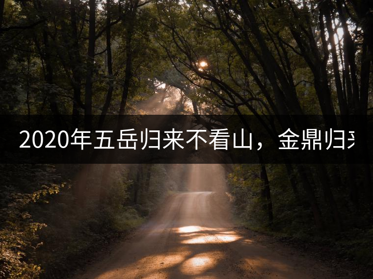 2020年五岳歸來(lái)不看山，金鼎歸來(lái)不看茶   -易武中聘號(hào)