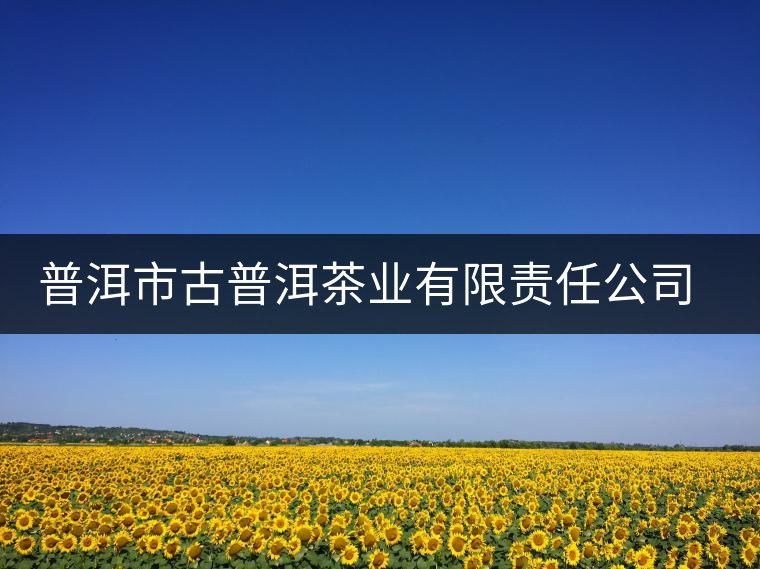 普洱市古普洱茶業(yè)有限責(zé)任公司簡介 普洱市古普洱茶業(yè)有限責(zé)任公司簡介