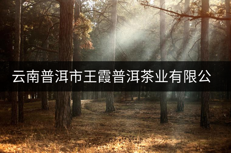 云南普洱市王霞普洱茶業(yè)有限公司簡介 云南普洱市王霞普洱茶業(yè)有限公司簡介