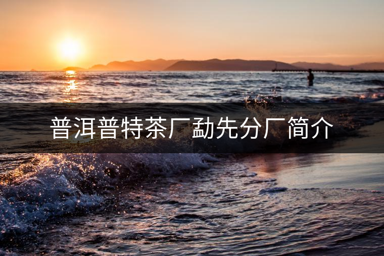 普洱普特茶廠勐先分廠簡(jiǎn)介 普洱普特茶廠勐先分廠簡(jiǎn)介