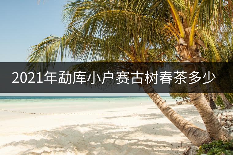 2021年勐庫小戶賽古樹春茶多少錢一公斤？