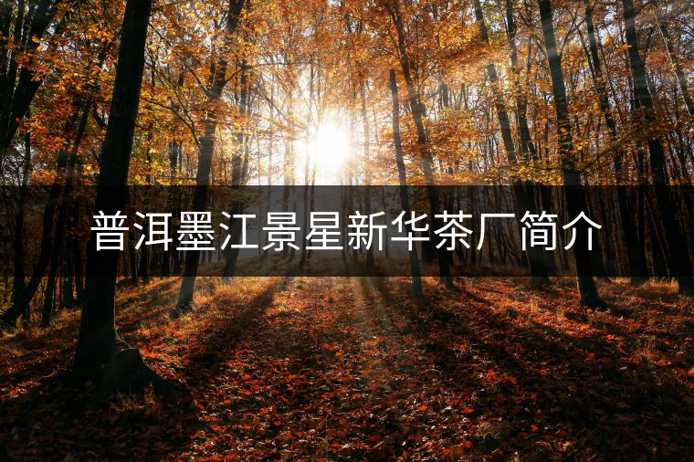 普洱墨江景星新華茶廠簡(jiǎn)介 普洱墨江景星新華茶廠簡(jiǎn)介