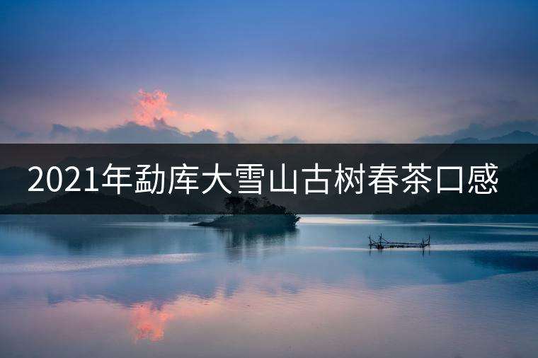 2021年勐庫大雪山古樹春茶口感特點？