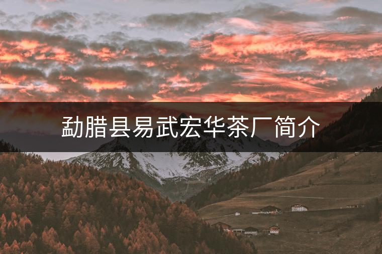 勐臘縣易武宏華茶廠簡(jiǎn)介 勐臘縣易武宏華茶廠簡(jiǎn)介