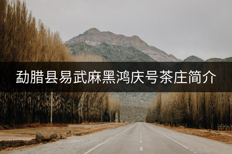 勐臘縣易武麻黑鴻慶號(hào)茶莊簡(jiǎn)介 勐臘縣易武麻黑鴻慶號(hào)茶莊簡(jiǎn)介