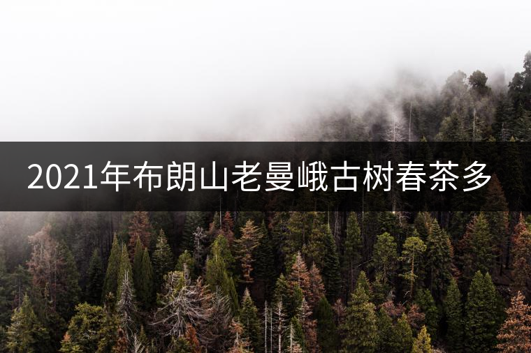 2021年布朗山老曼峨古樹春茶多少錢一公斤？