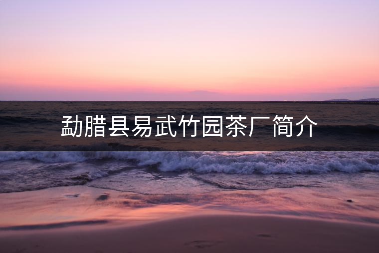 勐臘縣易武竹園茶廠(chǎng)簡(jiǎn)介