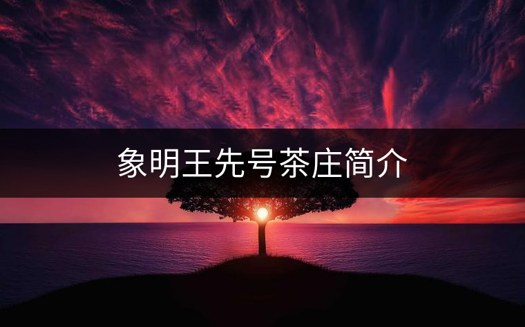象明王先號茶莊簡介